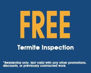 Free-Termite-Inspection