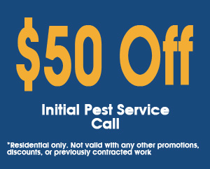 50-off-Pest-Service-Coupon