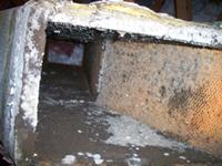 Duct-Work-in-Attic-012_export