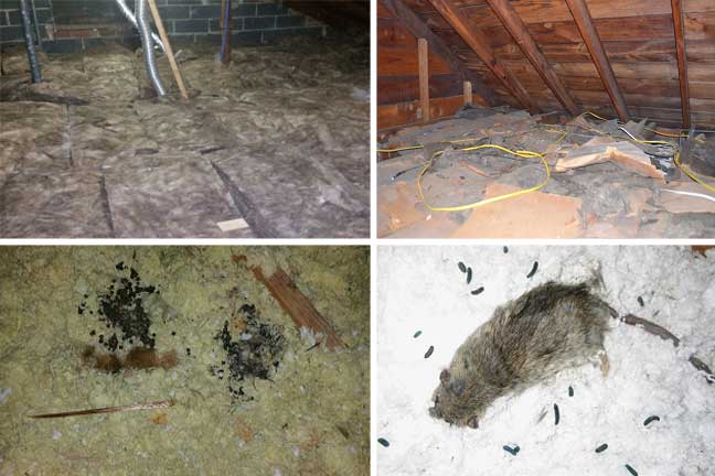 Insulation-pictures