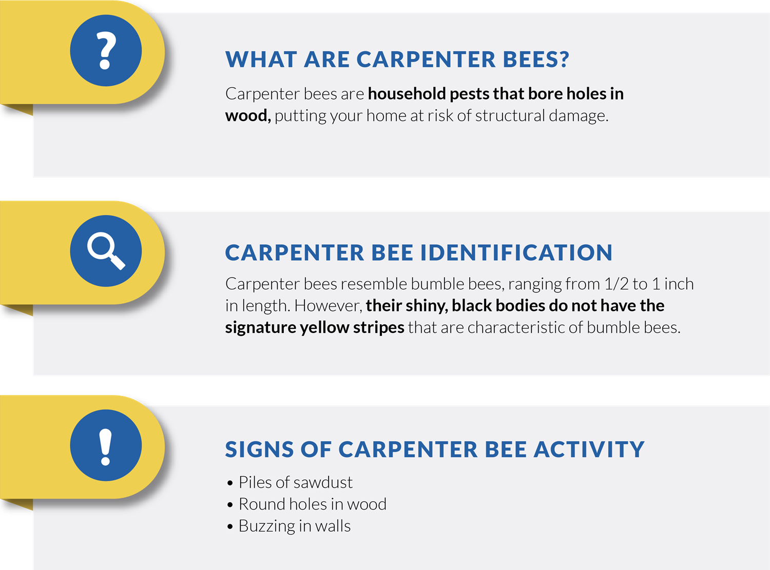 5 Common Signs of Carpenter Bees in Your Home - CroppMetcalfe