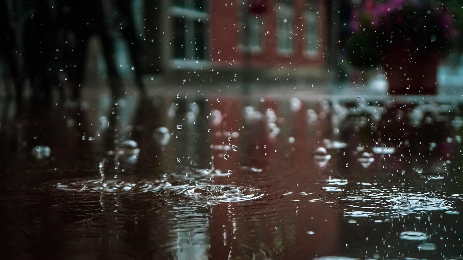 Rain droplets falling into a large puddle as a result of hurricane season. 