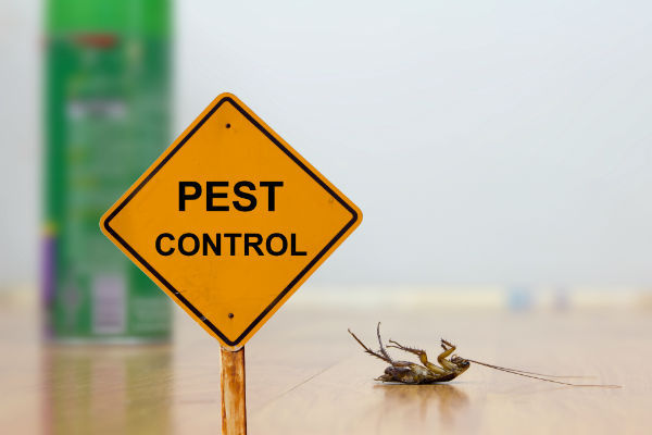 commercial-pest-control