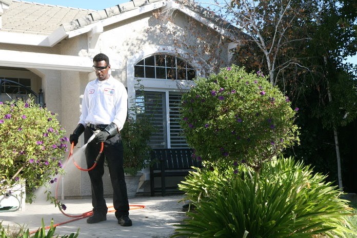 CroppMetcalfe exterminator treating an insect infestation outside a home in the Washington, D.C. area. 