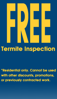 termite-inspection